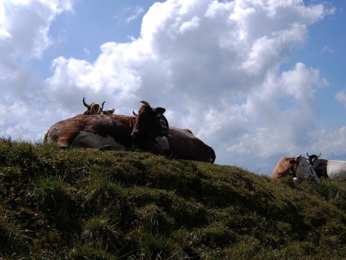 Allgäu Haus Isny im Allgäu Exterior foto